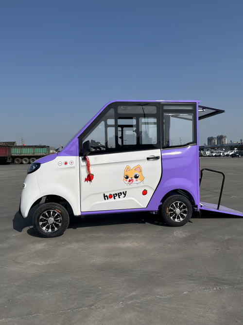 Closed electric four-wheeled vehicle for the disabled